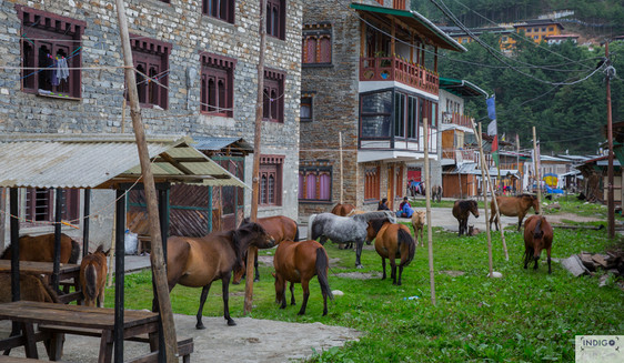 Bumthang Bhutan 
